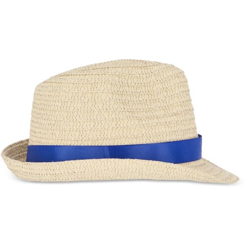 Strohoed met gekleurde band donkerblauw