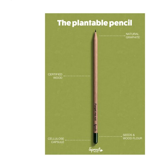 Sproutworld Sharpened Pencil Potlood