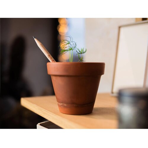 Sproutworld Sharpened Pencil Potlood